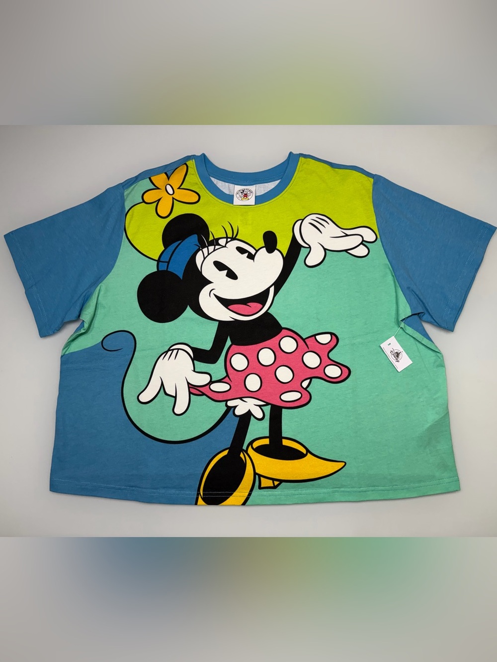 MICKEY & CO Minnie Mouse plus size 1X crop NWT